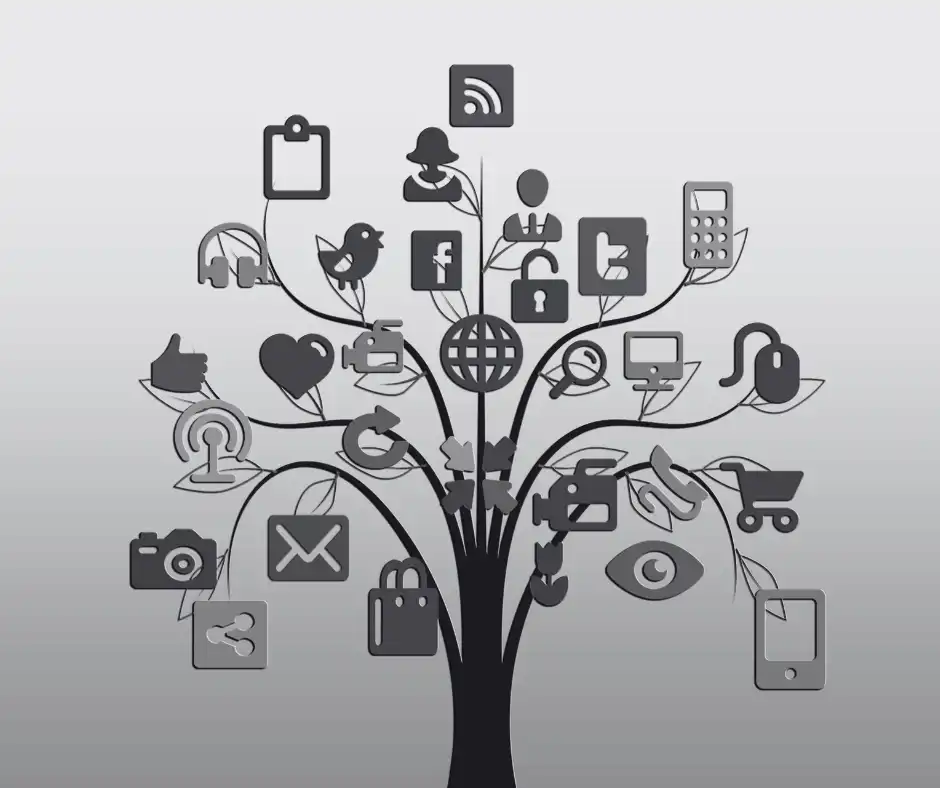 SEO services in Chandigarh improving search visibility